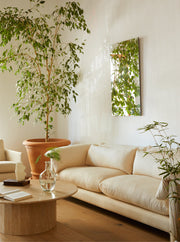 ASHBY Coffee Table